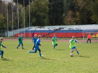 IMG_7511